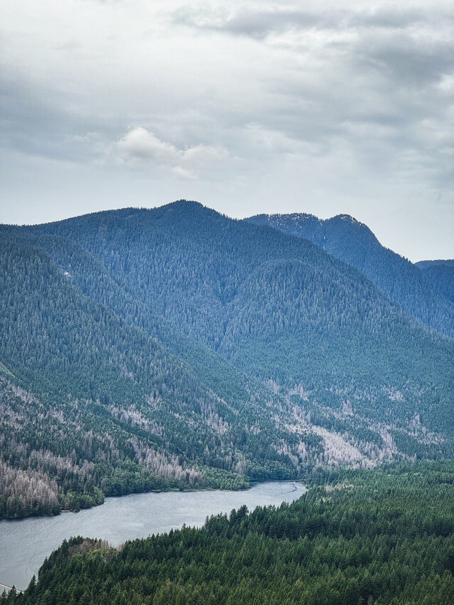 High View of Capilano River, British Columbia - Wall Art